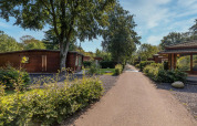 Kleine houten huisjes tussen het groen in Bungalowpark Het Verscholen Dorp in Nederland.