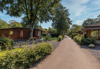 Kleine houten huisjes tussen het groen in Bungalowpark Het Verscholen Dorp in Nederland.