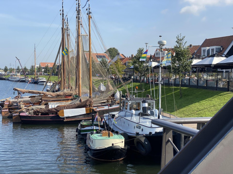 Barcos tradicionales amarrados junto a una orilla verde y casas en un puerto de los Países Bajos.