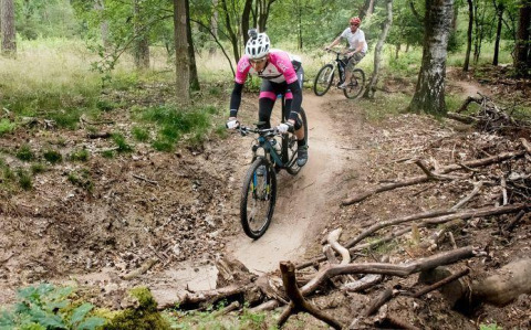Dos personas practican ciclismo de montaña en un sendero forestal junto a Veluwe lodge en Bungalowpark Het Verscholen Dorp, Países Bajos.