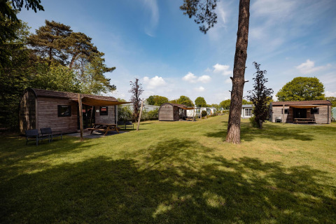 Holzlodge-Unterkünfte am Campingplatz Noetselerberg in den Niederlanden, umgeben von Bäumen und Grün.