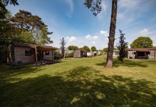 Lodges en bois au Camping the Noetselerberg aux Pays-Bas, entourés de verdure sous un ciel ensoleillé.
