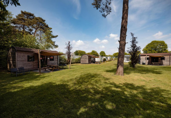 Houten lodges op Camping de Noetselerberg in Nederland, gelegen op een grasveld onder een zonnige lucht.
