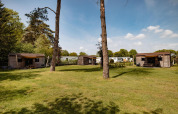 Foto van Woodlodge-huisjes op Camping de Noetselerberg in Nederland met grasveld en hoge bomen.