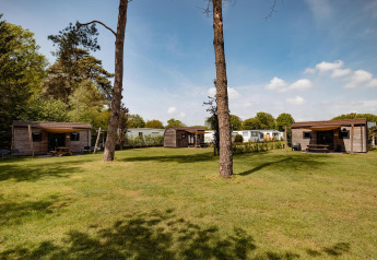 Photo of Woodlodge cabins at Camping the Noetselerberg in the Netherlands with lawn and tall trees.