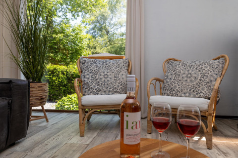 Gezellige zithoek in de Heide lodge bij Bungalowpark Het Verscholen Dorp, Nederland, met tuinzicht.