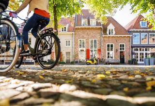 To personer cykler forbi hyggelige huse og grønne træer på Heide lodge ved Bungalowpark Het Verscholen Dorp.
