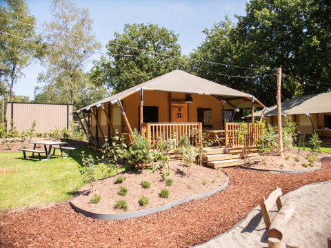 Tente safari au Holiday Park Gelloo aux Pays-Bas avec terrasse en bois, espace vert et bancs à l'extérieur.
