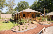 Tenda safari all’Holiday Park Gelloo nei Paesi Bassi, circondata da verde e veranda in legno su prato.