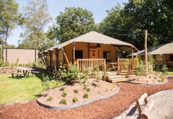 Safaritent bij Holiday Park Gelloo in Nederland, met houten veranda, tuin en picknicktafel in het zonlicht.