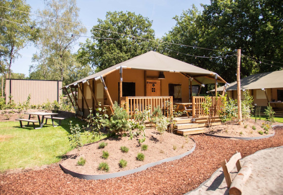 Safaritent bij Holiday Park Gelloo in Nederland, met houten veranda, tuin en picknicktafel in het zonlicht.
