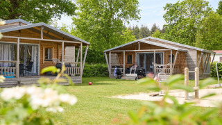 Two wooden safari tents at Camping 't Veld in the Netherlands with greenery, families relaxing on porches.