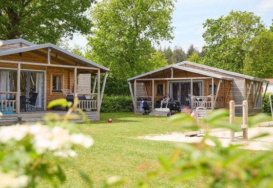 Twee houten safaritenten op Camping 't Veld in Nederland, met gezinnen op de veranda’s en veel groen.