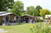 Hyggelige telt- og træhytter på Camping 't Veld i Holland, med grønne træer og familier på græsset.