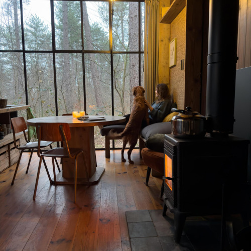 Gezellige hut in het Limburgse bos met houtkachel, grote ramen, een vrouw en haar hond binnen.