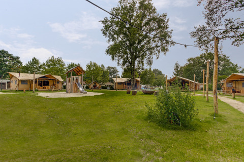 Safari telte ved Dune Lodge, Sandberghe, Holland, med legeplads, græsplæne og hyggelig campingstemning.