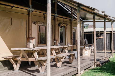 Holzterrasse mit Picknicktischen bei Beach Lodge Big im Duynpark Het Zwanenwater, Niederlande.