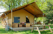 Safari-Zelt Forest Lodge in Sandberghe, Niederlande, mit Terrasse, Sitzbank und Picknicktisch im Grünen.