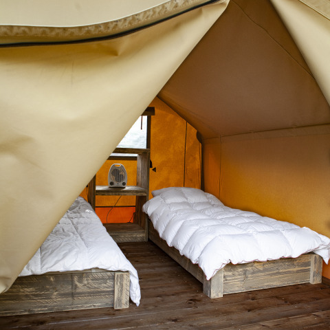 Vue intérieure de la tente safari Forest Lodge Junior à Sandberghe, Pays-Bas, avec deux lits et parquet.
