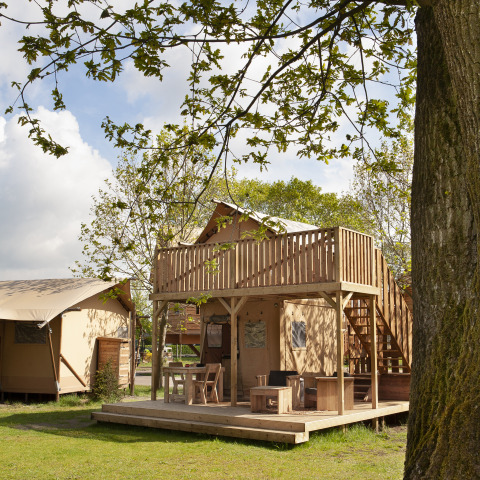 Safari-Zelt Forest Lodge Junior bei Sandberghe, Niederlande, mit Holzterrasse und Sitzbereich im Freien