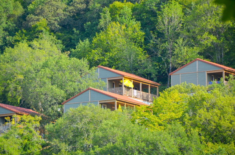 Wooden lodges with red roofs nestle in lush green forest, bathed in sunlight on a mountainside.