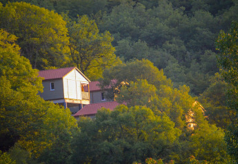 Chalet Belvedere lodge bij La Draille in Frankrijk, verscholen tussen dicht groen bos en zonlicht.
