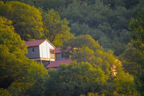 Lodge Chalet Belvedere en La Draille, Francia, rodeado de bosque verde y bañado por la luz del sol.