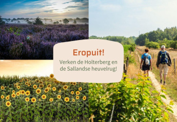 Photo of people hiking, a field of sunflowers, and heather landscape near a glamping accommodation.