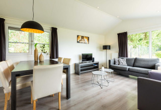Salón y comedor moderno en una cabaña Comfort de EuroParcs Noordwijkse Duinen, Países Bajos, con decoración elegante.