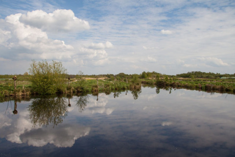Udsigt over en rolig sø og grønne marker ved Chalet lodge i Holiday park Eigen Wijze, Holland.