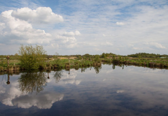 Ruhiger See mit Wolkenspiegelung, grünen Feldern bei Chalet lodge im Holiday park Eigen Wijze, Niederlande.