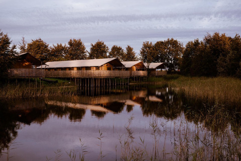 Glamping-overnatningssteder på pæle ved en spejlblank sø omgivet af træer under en skyet himmel.