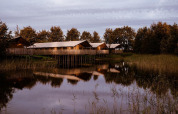 Alojamientos de glamping sobre pilotes junto a un lago tranquilo, rodeados de árboles y naturaleza serena.