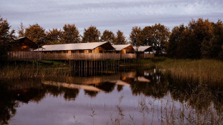 Hébergements de glamping sur pilotis au bord d’un lac paisible, entourés d’arbres sous un ciel nuageux.