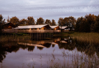 Alojamientos de glamping sobre pilotes junto a un lago tranquilo, rodeados de árboles y naturaleza serena.