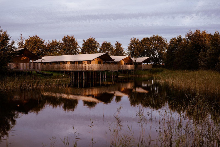 Glamping accommodations on stilts by a peaceful lake, surrounded by trees and reflected in calm water.