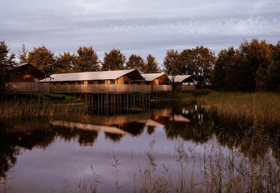 Glamping accommodations on stilts by a peaceful lake, surrounded by trees and reflected in calm water.