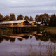 Glamping accommodations on stilts by a peaceful lake, surrounded by trees and reflected in calm water.