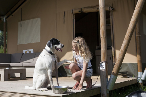 Mädchen spielt mit einem Hund vor einem Luxus-Safarizelt im Ferienpark De Boshoek in den Niederlanden.