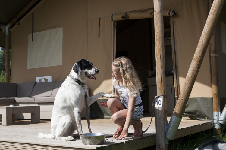Niña juega con un perro en la terraza de una tienda safari de lujo en Holiday park De Boshoek, Países Bajos.