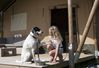 Girl playing with dog on the porch of a luxury safari tent at Holiday park De Boshoek in the Netherlands.