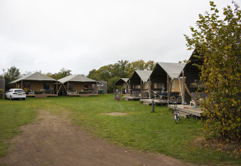 Luxe safaritenten op vakantiepark De Boshoek in Nederland, omgeven door gras en geparkeerde fietsen.