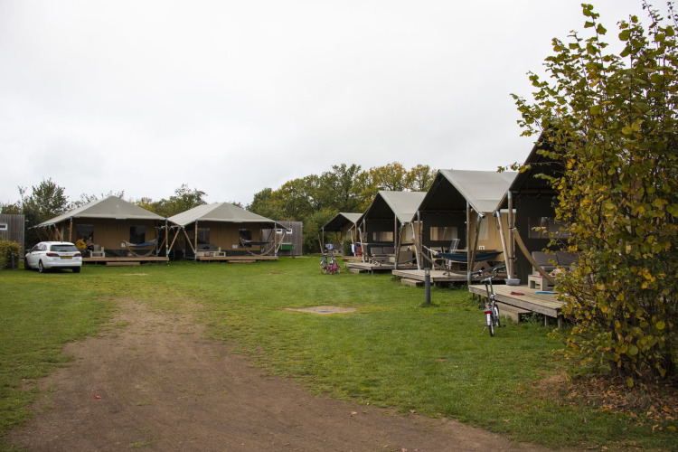 Tiendas safari de lujo en el parque vacacional De Boshoek, Países Bajos, rodeadas de césped y bicicletas.