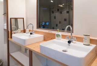 Zona lavandino doppio moderna sulla houseboat De Zwerver a Marina Parcs Naarden, Paesi Bassi.