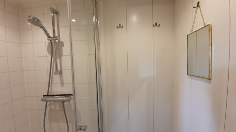 Brusebad med hvidt interiør, spejl på væggen og kroge, taget på husbåden De Zwerver i Holland.