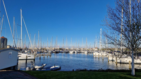Blick vom Hausboot Havenlodge Lelystad im Marina Parcs Lelystad auf die Segelyachten im Hafen.