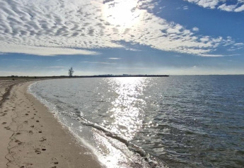Zonnig strand met kalm water bekeken vanaf Havenlodge Lelystad bij Marina Parcs in Nederland.