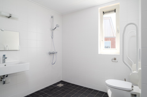 Baño accesible en Eneva Disabled, Tusken de Marren, con ducha, inodoro con barra de apoyo y lavabo.