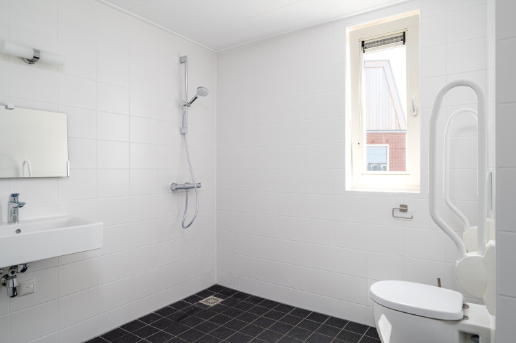 Baño accesible en Eneva Disabled, Tusken de Marren, con ducha, inodoro con barra de apoyo y lavabo.