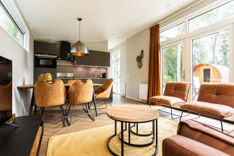 Modern glamping accommodation with leather furniture, open kitchen, and large windows looking to nature.